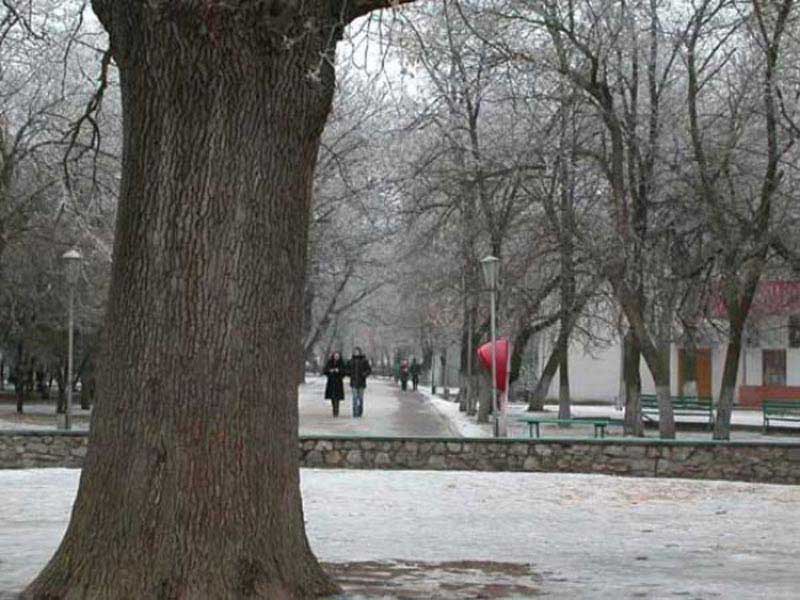 Херсон. Зимний дуб черешчатый в парке им. Ленина 